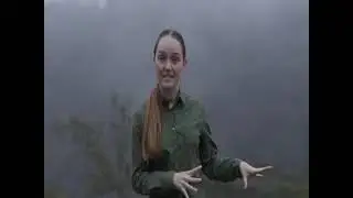 blue mountains se aus A