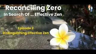 Episode 2: Distinguishing Effective Zen