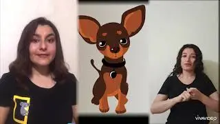 Yaramaz Köpek Masalı İşaret Dili İle Anlatım