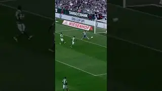 clinical finisher