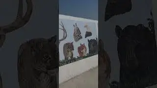 Gimli Seawall Gallery part 3