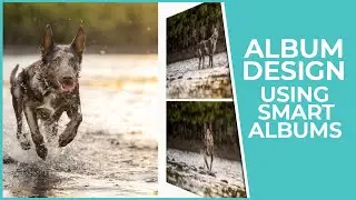 Dog Photography Album Design using Smart Albums