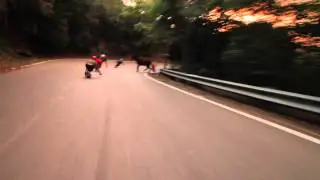 Skaters Almost Hit HORSE