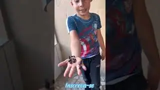 PEGUEI UM MONTE DE FORMIGA I&Ccedil;A NA M&Atilde;O  🐜 😲 #shorts @ryangodoyoficial