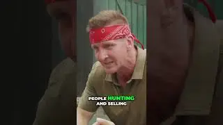 The Real Story Behind Bush Meat: A Balanced Perspective