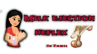 MILK EJECTION REFLEX /LET- DOWN REFLEX