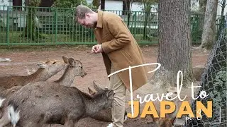 Japan Travel Series (Part 3)