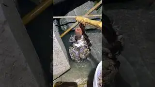 The process of harvesting crabs in the river