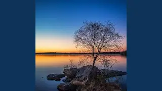 Mindful Anthem Reflection Resonance