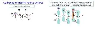 Carbocation Resonance