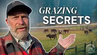 Rotational Grazing: Stop Making These 3 Mistakes