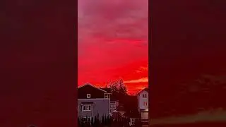 Sunset view Seattle,WA #sunset #washington #photography #video #sunsetview #landscape #shorts #viral