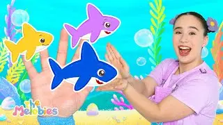 NEW Baby Shark Family Finger Baby Song |  New Nursery Rhymes with the Melobies