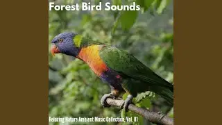 Wild Birds