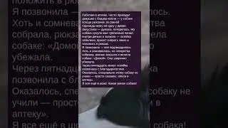 История про собаку с запиской в аптеке ✍ Зацените историю: Часть №254