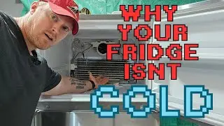 Why Your Fridge Isn't Cold! From Fans to Refrigerant Diagnosing