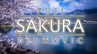 Fuji Sakura - DJI MAVIC PRO - 4k