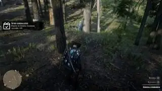 Red Dead Online - Sfida Giornaliera - Piante di Grifola Grondolosa raccolte