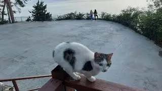 aralık