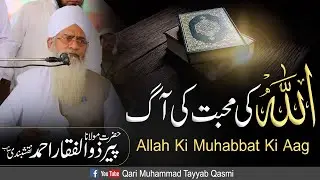 Allah Ki Muhabbat Ki Aag | Important Clip | Hazrat Maulana Hafiz Zulfiqar Ahmad Naqsbadi Sb