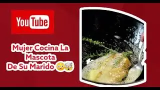 Cocino La Mascota De Su Marido 🤯😯#sabiasque#curiosidades #datointeresante #datos