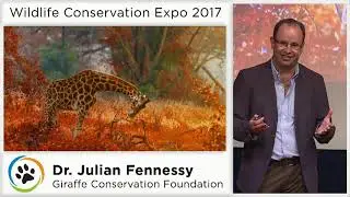 WCN Expo Fall 2017 Talk - Steph & Julian Fennessy (GCF)