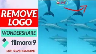 HOW TO REMOVE LOGO FROM VIDEO IN FILMORA 9 ll GOPI CHAND CREATIONS