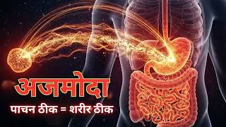 अजमोदा: पाचन का राजा         #अजमोदा#Ajmoda#Ayurveda#पाचनस्वास्थ्य#GasAcidity