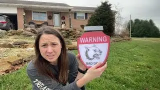 Review of BNT Solar Beware of Dog Sign, Bad Dog Warning Signs for fence