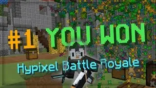 17 KILL BATTLE ROYALE WIN?!? (HYPIXEL BATTLE ROYALE PTL BETA)