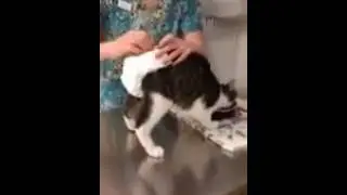 Diaper Change
