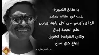 أجمل قصائد الشاعر محمد الحسن سالم حميد - في دبابة