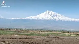 Ararat