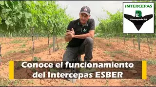 Conoce el funcionamiento del Intercepas ESBER