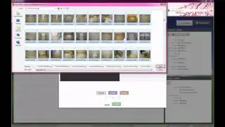 PreserveSoft Версия 2