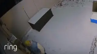 Floodlight Cam Siren Deters Stranger From Entering House | RingTV