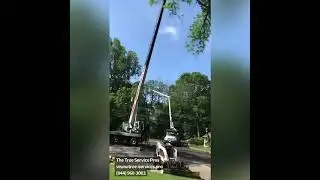 The Tree Service Pros - Tree Removal, Storm Cleanup & More