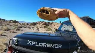 Hell's Half Acre Rock Crawling in remote Nevada