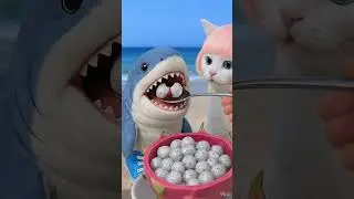 😸 Cat and Baby Shark ASMR FOOD challenge😸eating sounds🎧 |  #shorts #asmr #cat #tralalerito