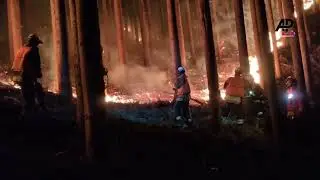 Firefighters battle Ōfunato forest fire as containment efforts intensify