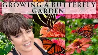 Zinnia Gardening to Attract Butterflies: Planting, Staking & Seed Starting | Florida Garden Zone 10a