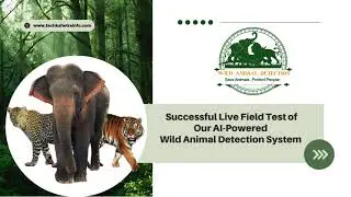 Another Real-Time Elephant Detection in Karnataka | Field Success