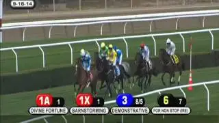 Demonstrative - 2014 Lonesome Glory S. (G1)