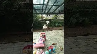 My Aussie Friends is live!