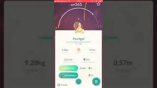 Pok&eacute;mon Go Feurigel Community Day 2018 Entwicklungen + Shiny