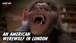 David Naughton's LEGENDARY Transformation Scene | An American Werewolf in London (1981)