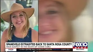 Marcus Spanevelo, suspect in Cassie Carli case, returned to Florida