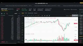 LIVE  Dogwifhat (WIF)  Price Prediction -  Dogwifhat (WIF)  NEWS -  Dogwifhat (WIF) Price Chart