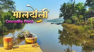 मालदोली मगर सफारी | Crocodile point of Maldoli | Chiplun Konkan Tourism