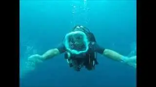 The Dive Bus Guide to blowing bubble rings